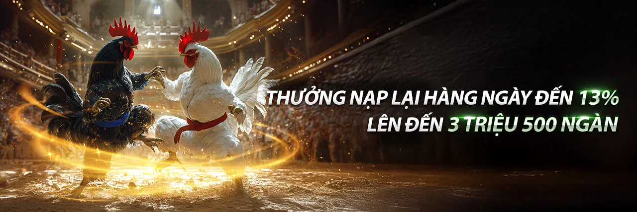 Đá gà trực tiếp CPC3 kịch tính tại U888
